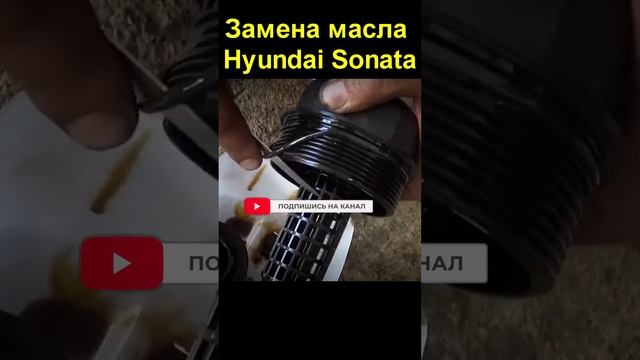 Замена масла Hyundai Sonata