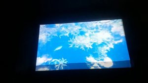 свето-отражающий экран для проектора.