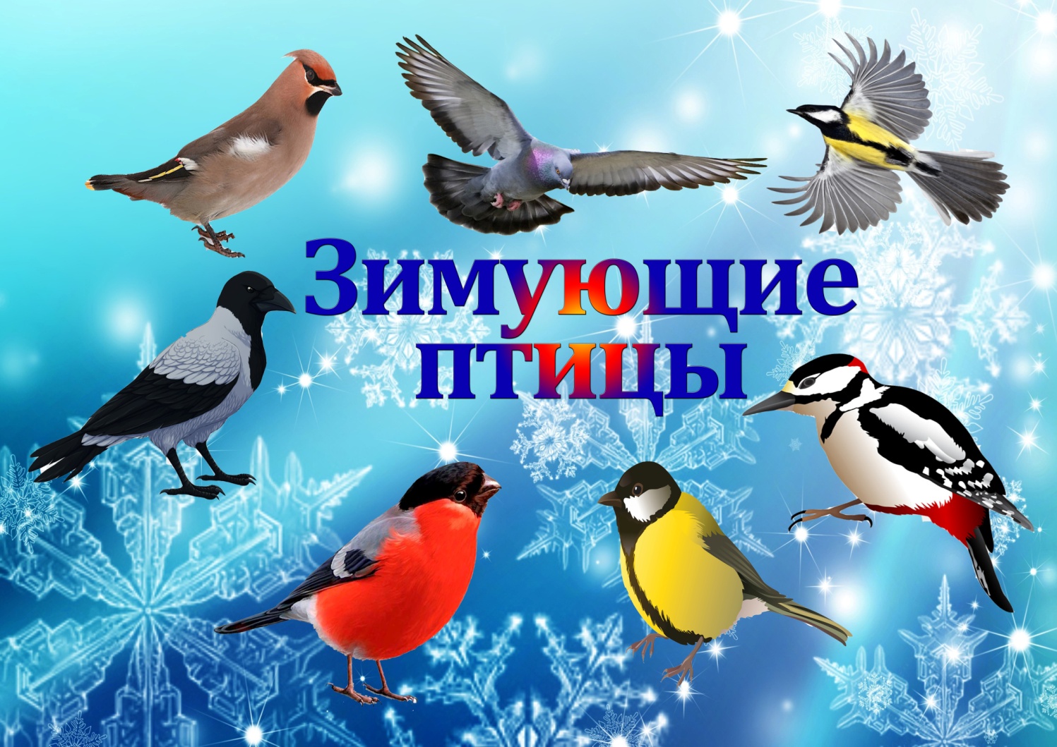 Видео зимующие птицы
