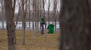 Общественная работа