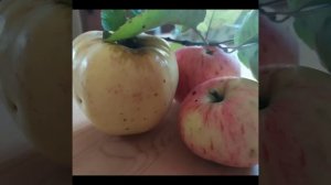 Будни Многодеточки - истинное лицо | Сплетница