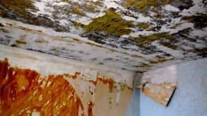 Ремонт квартиры своими руками, потолок из пенопласта  (Анонс)