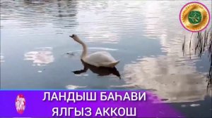 ЛАНДЫШ БАХАВИ МАТУР ҖЫР! ЯЛГЫЗ АККОШ