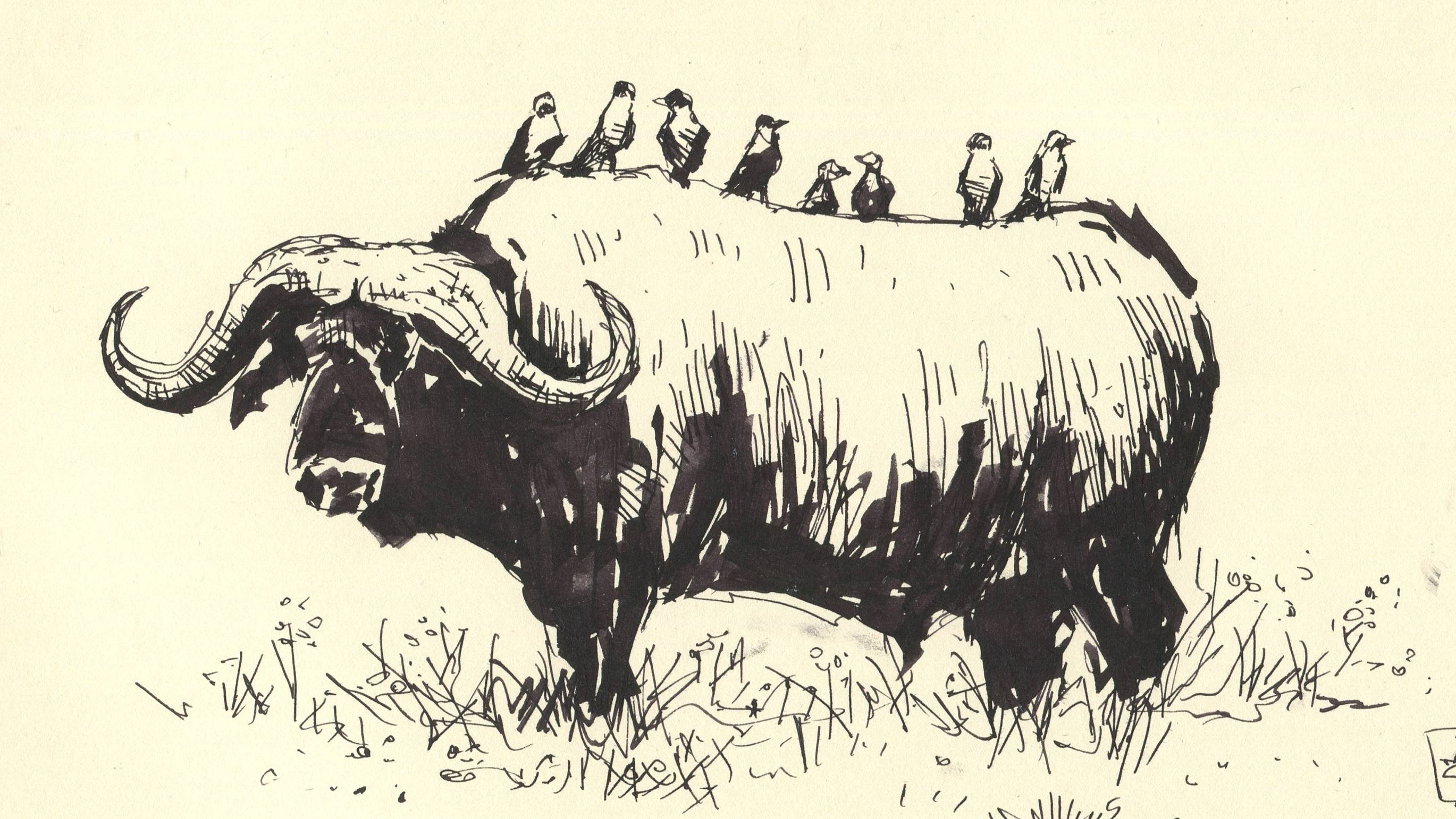 Pilot Parallel Pen параллельпен параллелька на сколько хватает чернил