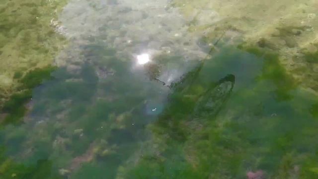 А вы были когда-нибудь на "Голубой кринице", что в Славгородском районе? смотреть онлайн