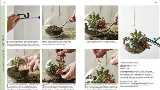 RHS Practical Cactus and Succulent Book смотреть онлайн