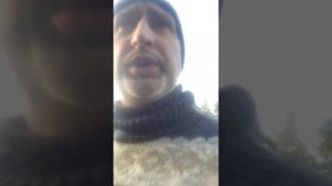Ламанчи как порода