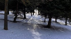 Просто февраль ( кавер А. Весенин)