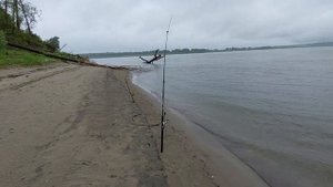 р. Обь Томская обл. д. Жуково. Отдых, рыбалка, песни у ночного костра, купание..?