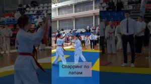 Адаптивное тхэквондо г. Хабаровск