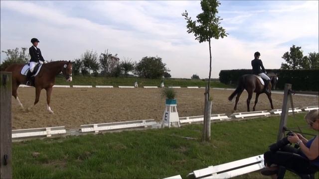 I. Hoppe, Dressurprüfung Kl. A* - Ennigerloh - August 2014 - смотреть онлайн