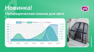 Продажи ортопедической спинки на Wildberries. Анализ маркетплейса