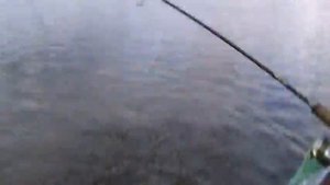 Рыбалка в Приобье, август 2012