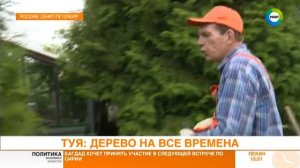 Туя: дерево на все времена. Эфир от 22.08.17