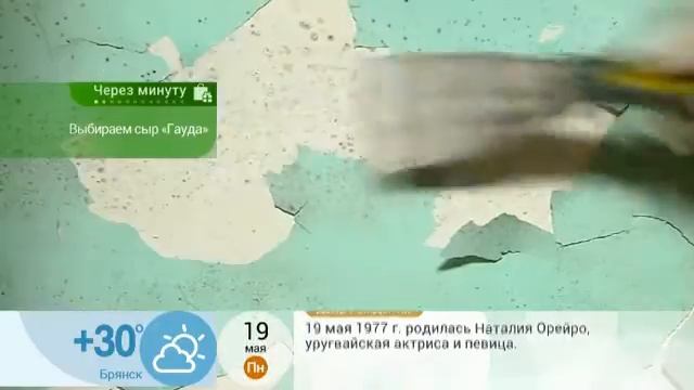 Боремся с грибком и плесенью смотреть онлайн