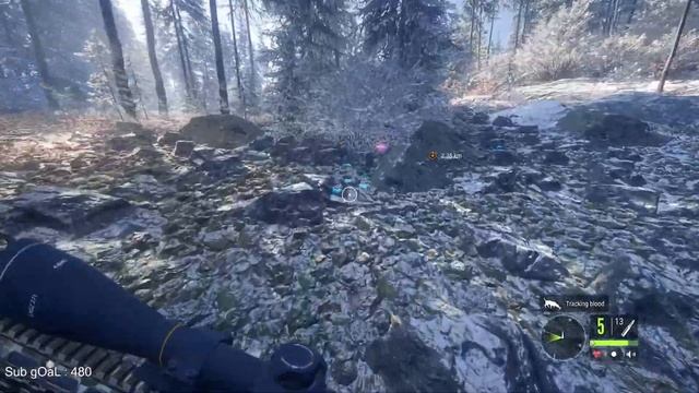 The Hunter Call of the Wild, Ep 8 смотреть онлайн