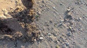 Что можно найти металлоискателем в песке на берегу речного пляжа. Зимний коп в декабре. Находки