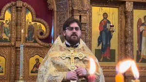 Что означают слова Спасителя «нехорошо взять хлеб у детей и бросить псам»? Прот. Василий Иванов.