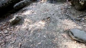 Река Жане удивила: Водопады, Дольмены. Фестиваль "Восхождение". Тусовка эзотериков и парапсихологов