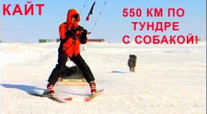 По тундре с собакой! Путешествие на Ямал