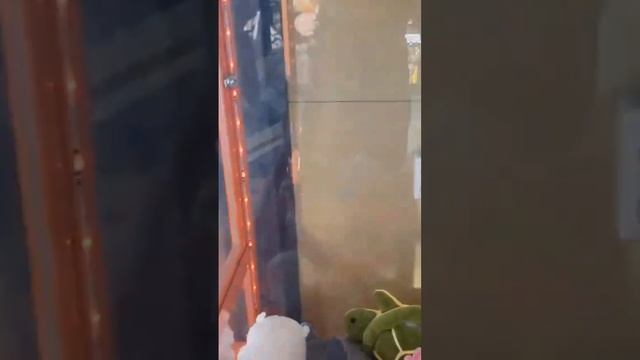 Автомат ХВАТАЙКА |Необычная игрушка ?#автоматхватайка #хватайка #игровыеавтоматы #автоматсигрушками