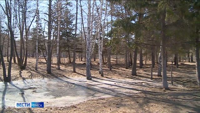 В Омской области в ближайшие несколько дней ожидается летняя погода смотреть онлайн