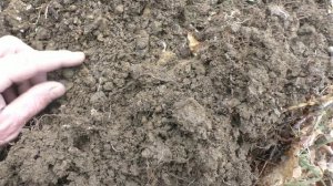 Лесной поиск по берегам реки.