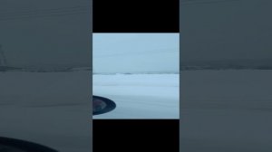 Из окна автомобиля/Погода в Подмосковье/ 14 февраля 2024 16 часов