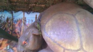 Выставка динозавров г. Сочи Ривьера