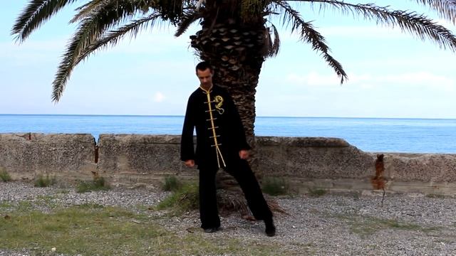 Чэнь ши тайцзи лаоцзя и лу.1.тайцзи циши