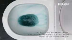 Унитаз моноблок BelBagno Lounge BB8618CPR-MN/SC с сиденьем Микролифт