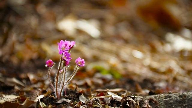 Предательство близкого человека