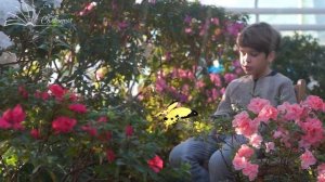 Как появились цветы | Сказка для маленьких