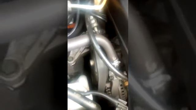 Проблема - писк в Honda Elysion