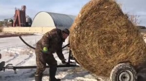 как вывезти 3х центеровый рулон сена с поля? нет проблем.