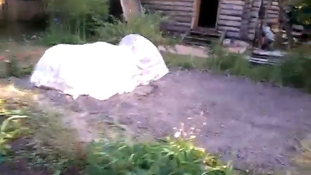 Дача лето 2021 смотреть онлайн