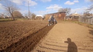 Все же пашем трехкорпусным плугом с помощью моторактора/мототрактор пашет плуг три корпуса