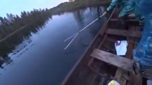 - ДЕВУШКА ПОЙМАЛА ПЕРВУЮ ТРОФЕЙНУЮ ЩУКУ. ОДНИМ ЗАБРОСОМ ДВЕ ЩУКИ. Рыбалка на спиннинг