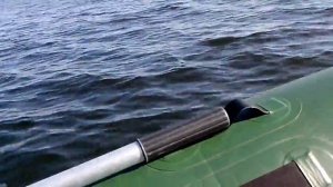 Mercury 2.5 Заменен карбюратор.