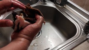 Уха из голов рыбы. Очень просто и безумно вкусно.