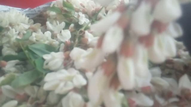 СДЕЛАЙТЕ ЭТО ИЗ АКАЦИИ И НЕ ПОВЕРИТЕ КАК ВКУСНО ЧИСТИТЬ ПОЧКИ ОТ ПЕСКА И КАМНЕЙ 30.05.2021 смотреть онлайн