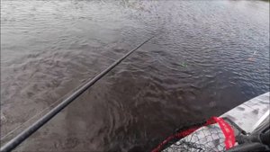 Big Miuras Mouse, и капризная щука!