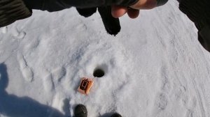 Судак на Вибы.Рыбалка на Каме Весной