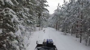 Купил МОТОСОБАКУ! Обзор мотобуксировщика Baltmotors SNOWDOG с двигателем YAMAHA!