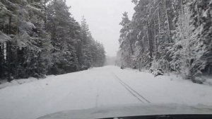 Зима в Усть-Луге