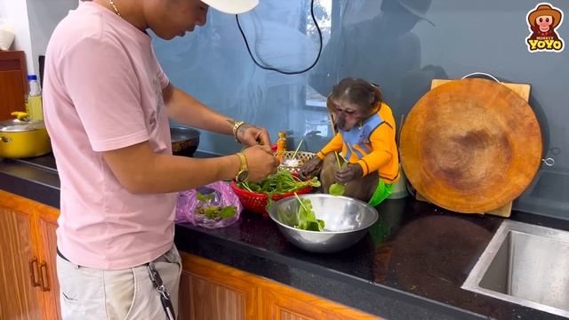 Farmer YoYo Jr harvests vegetables to cook