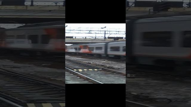 Поезд ласточка прибывает на станцию.