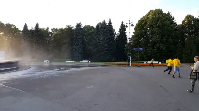 Бухие бразильцы на Крестовском смотреть онлайн