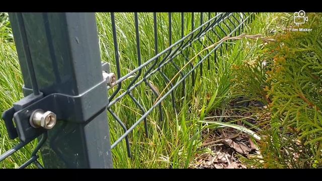 NOŻYCE DO TRAWY I ŻYWOPŁOTU PARKSIDE смотреть онлайн