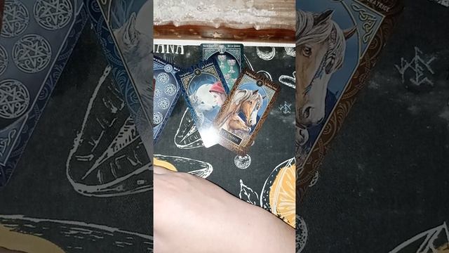 Твой ТОТЕМ, Друг и Помощник. смотреть онлайн